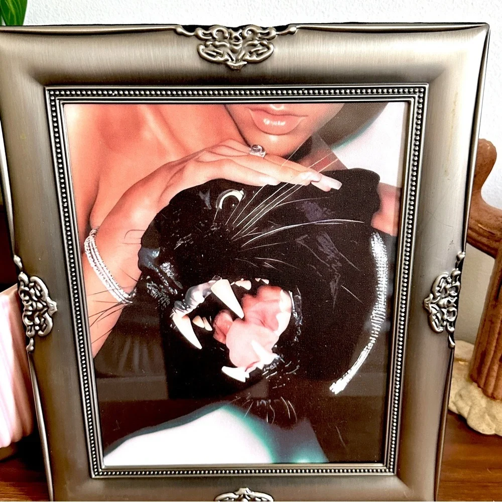 Diamond Jaguar & Sexy Woman Black Panther Canvas Print Silver Framed Wall Art